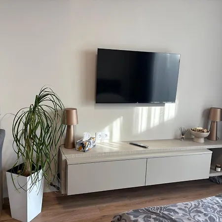 студио феникс * Варна