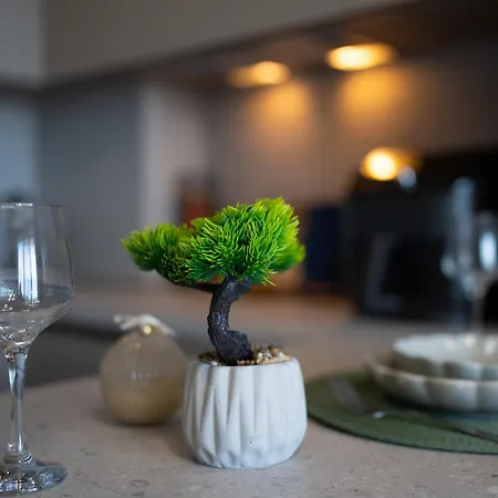 Apartment студио феникс *