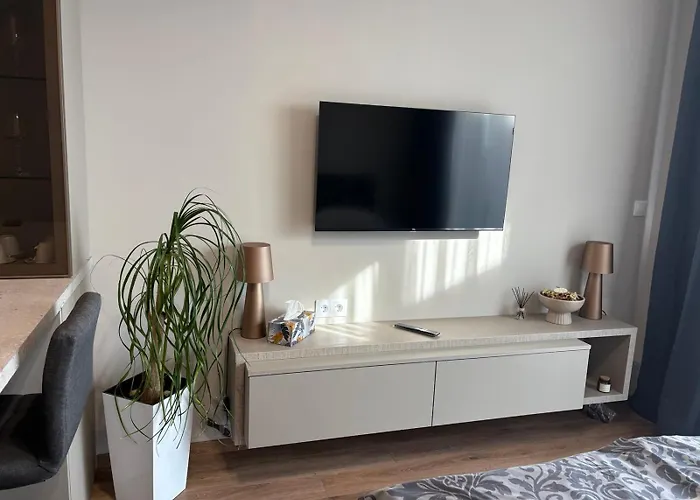 студио феникс * וארנה